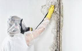 Best Mold Removal for HVAC Installations  in Newman, CA